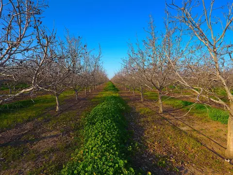 28201 S Banta Rd, Tracy, CA 95304 photo 3
