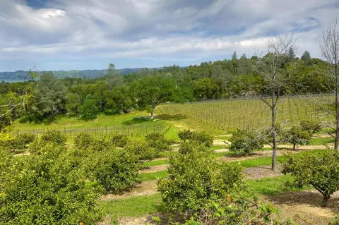1095 Cold Springs Rd, Placerville, CA 95667 photo 9