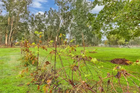 13435 Bennett Rd, Herald, CA 95638 photo 51