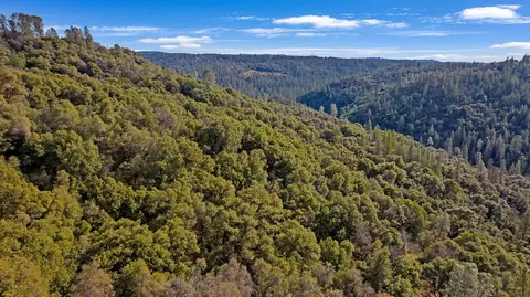 5939 Silver Ridge Ln, Placerville, CA 95667 photo 44