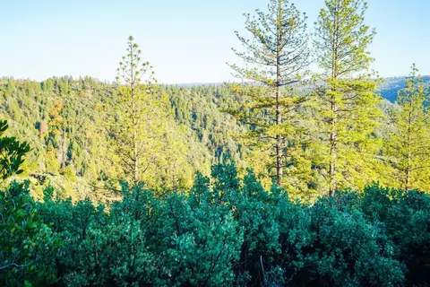 9220 Mule Skinner Rd, Placerville, CA 95667 photo 11