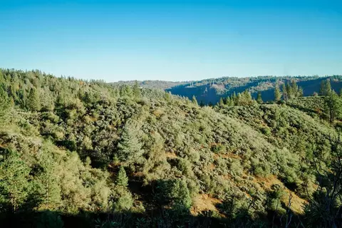 9220 Mule Skinner Rd, Placerville, CA 95667 photo 10
