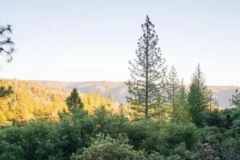 9220 Mule Skinner Rd, Placerville, CA 95667 photo 7
