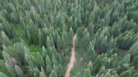 19372 Marsh Mill Rd, Nevada City, CA 95959