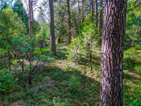 593 Avery Sheep Ranch Rd, Avery, CA 95224 photo 3