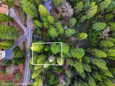 593 Avery Sheep Ranch Rd, Avery, CA 95224 photo 2