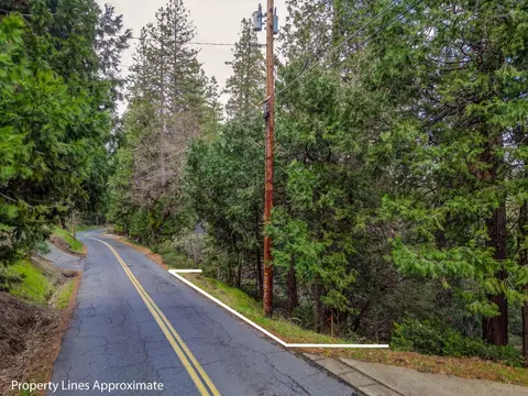 593 Avery Sheep Ranch Rd, Avery, CA 95224 photo 4