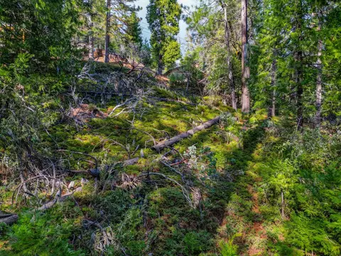 593 Avery Sheep Ranch Rd, Avery, CA 95224 photo 9