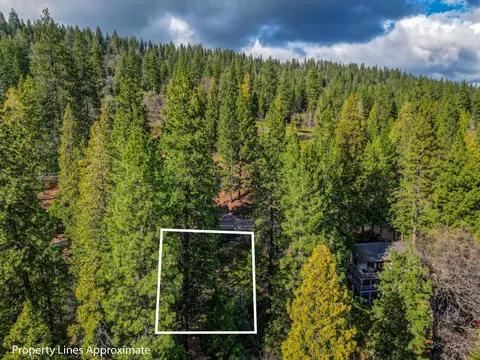 593 Avery Sheep Ranch Rd, Avery, CA 95224 photo 10
