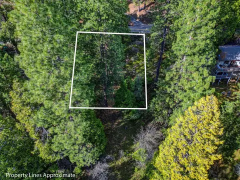 593 Avery Sheep Ranch Rd, Avery, CA 95224 photo 11