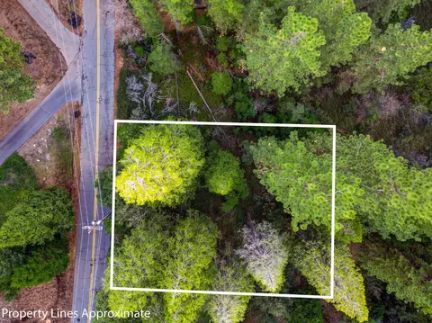 593 Avery Sheep Ranch Rd, Avery, CA 95224 photo 6