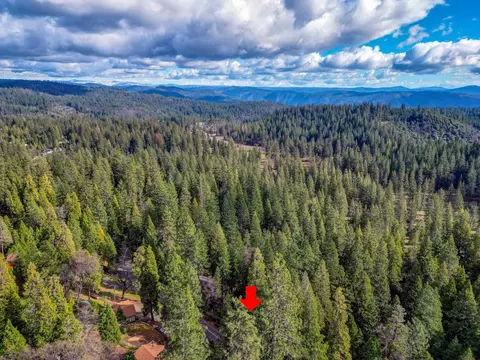 593 Avery Sheep Ranch Rd, Avery, CA 95224 photo 12