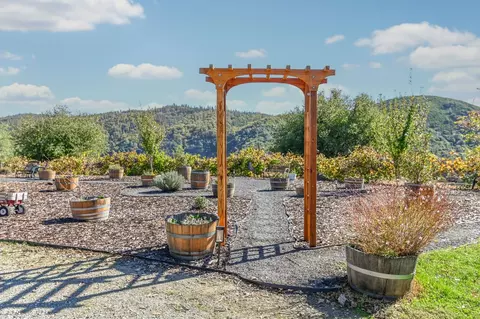 Exterior - 3770 Sheep Ranch Rd, Murphys, CA 95247 photo 1 of 24
