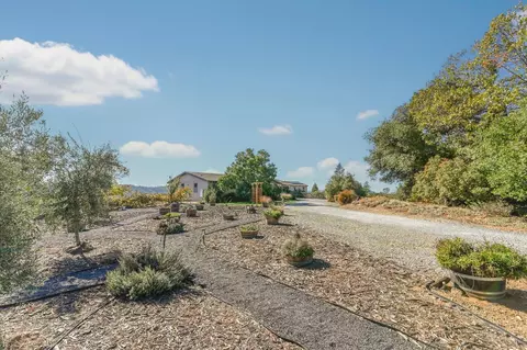 Exterior - 3770 Sheep Ranch Rd, Murphys, CA 95247 photo 8 of 25