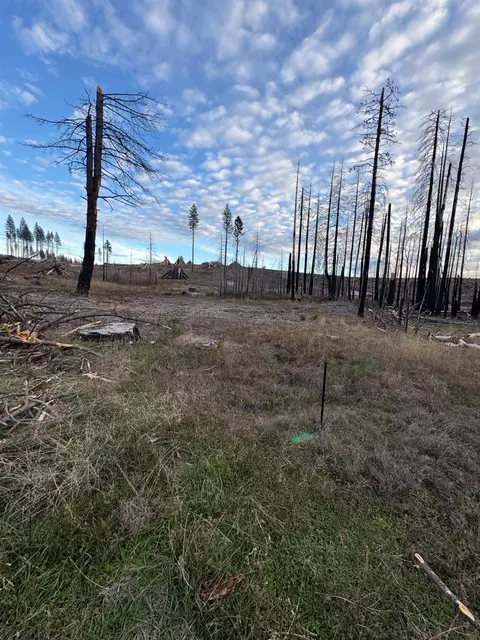 0 Forest Glen Winding Way, Grizzly Flats, CA 95636