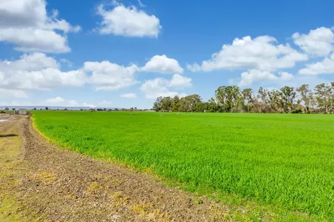 27150 Pierce Ranch Rd, Davis, CA 95616 photo 5