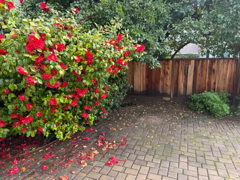 1054 Steinway Ave, Campbell, CA 95008 photo 30