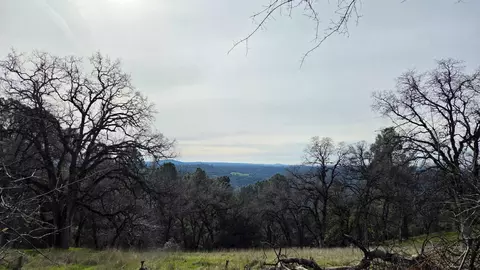 0 Palace Ln, Placerville, CA 95667 photo 16