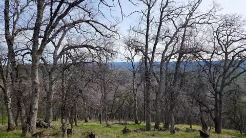 0 Palace Ln, Placerville, CA 95667 photo 5