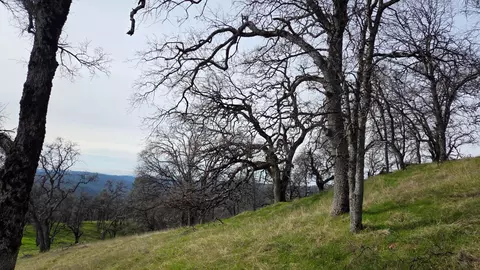 0 Palace Ln, Placerville, CA 95667 photo 9