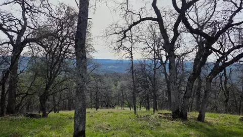 0 Palace Ln, Placerville, CA 95667 photo 4