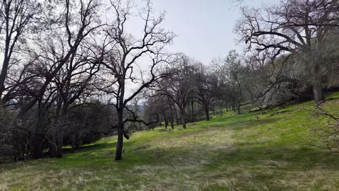 0 Palace Ln, Placerville, CA 95667 photo 20