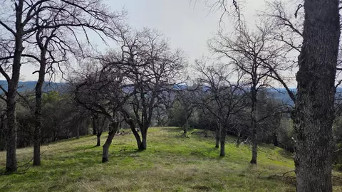0 Palace Ln, Placerville, CA 95667 photo 10