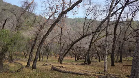 0 Palace Ln, Placerville, CA 95667 photo 29