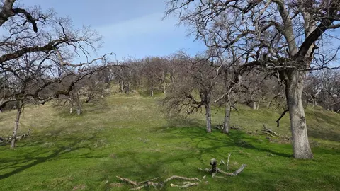 0 Palace Ln, Placerville, CA 95667 photo 11