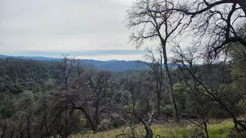0 Palace Ln, Placerville, CA 95667 photo 32