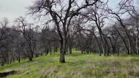 0 Palace Ln, Placerville, CA 95667 photo 25