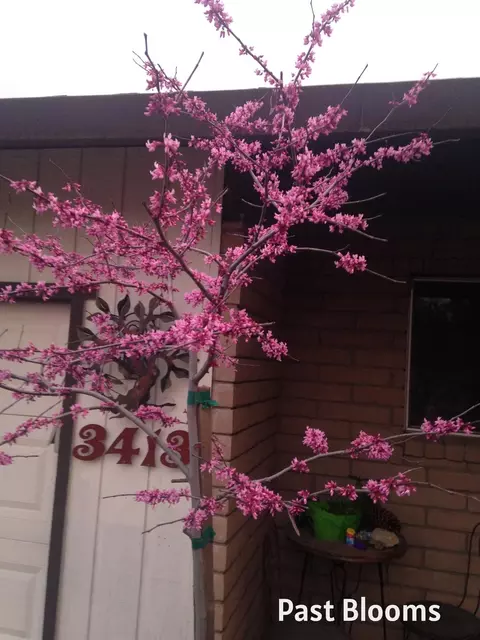 Other - 3413 Joanna Dr, Modesto, CA 95355 photo 10 of 14
