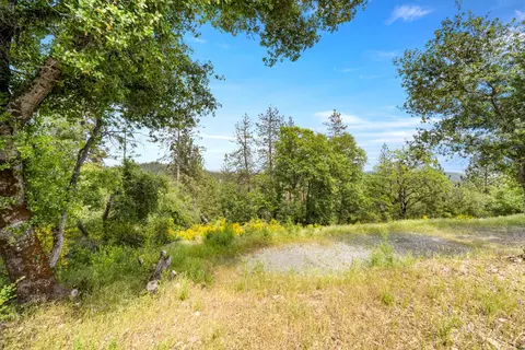 329 Cuckoo Ct, Applegate, CA 95703 photo 5