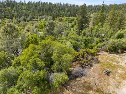 329 Cuckoo Ct, Applegate, CA 95703 photo 25