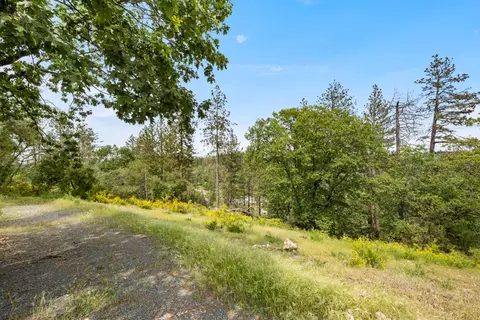 329 Cuckoo Ct, Applegate, CA 95703 photo 4