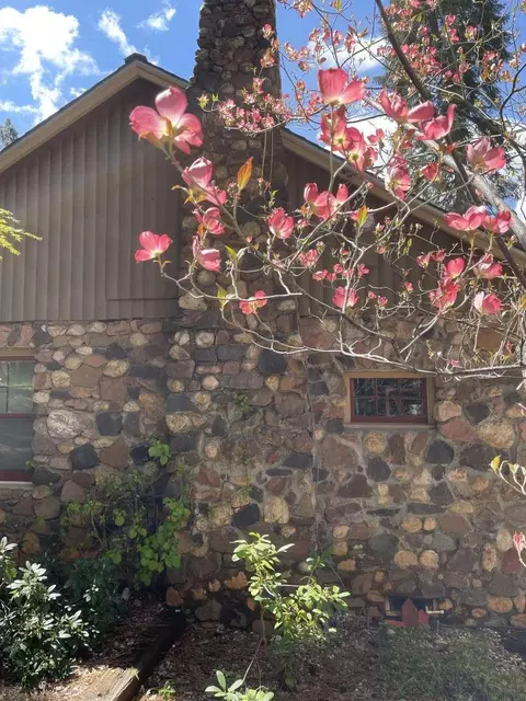 Exterior - 180 Dutch Flat Rd, Dutch Flat, CA 95714 photo 4 of 8
