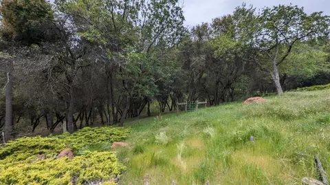 Exterior - 8209 Mountain Meadow Dr, Mountain Ranch, CA 95246 photo 30 of 49
