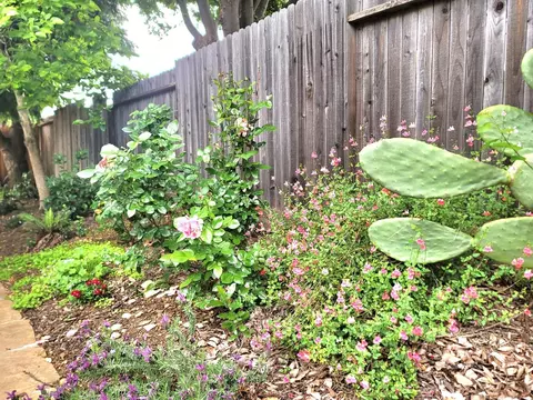 Exterior - 4274 Stromford Way, Mather, CA 95655 photo 6 of 8