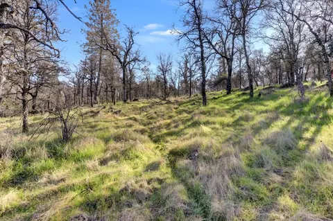 Other - 12545 Wolf Rd, Grass Valley, CA 95949 photo 10 of 11