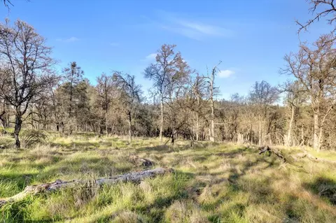 Exterior - 12545 Wolf Rd, Grass Valley, CA 95949 photo 27 of 46