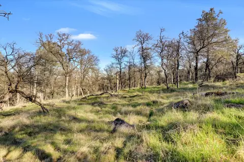 Exterior - 12545 Wolf Rd, Grass Valley, CA 95949 photo 28 of 46