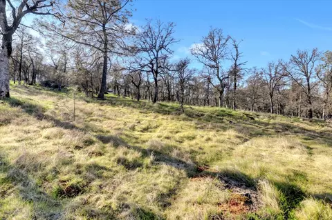 Exterior - 12545 Wolf Rd, Grass Valley, CA 95949 photo 24 of 46