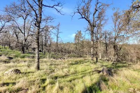 Exterior - 12545 Wolf Rd, Grass Valley, CA 95949 photo 26 of 46