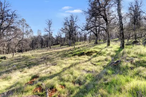 Exterior - 12545 Wolf Rd, Grass Valley, CA 95949 photo 22 of 46