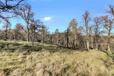 Exterior - 12545 Wolf Rd, Grass Valley, CA 95949 photo 25 of 46
