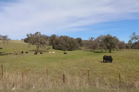 4272 Baldwin Ct, Valley Springs, CA 95252