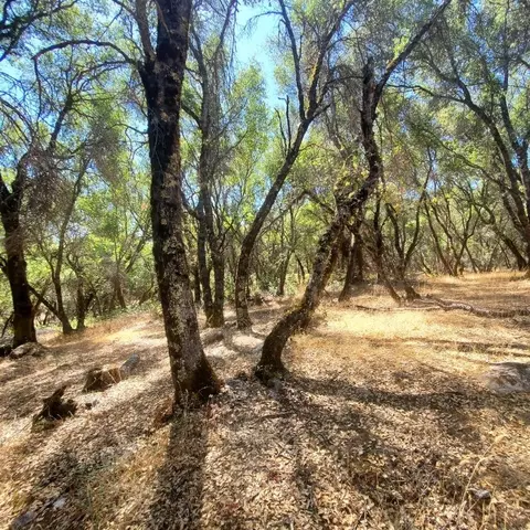 13985 Yah Way, Grass Valley, CA 95949 photo 4