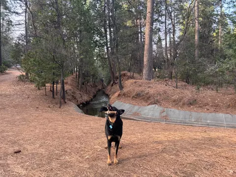 Other - 24214 N Oxbow Ln, Sonora, CA 95370 photo 9 of 11