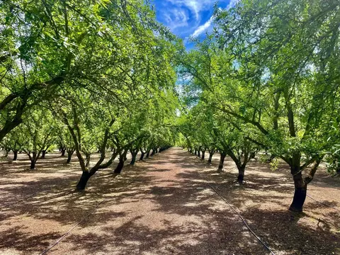 0 Blue Gum Ave, Modesto, CA 95358