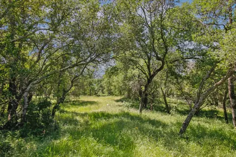 731 Janet Ct, Newcastle, CA 95658 photo 19